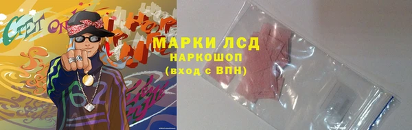 дурь Инта