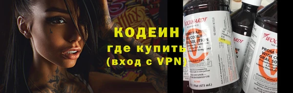 дурь Инта