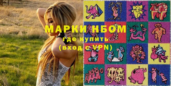 дурь Инта