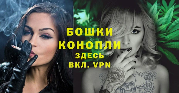 дурь Инта