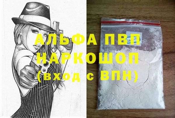 дурь Инта