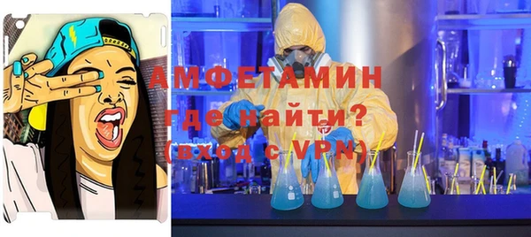 дурь Инта