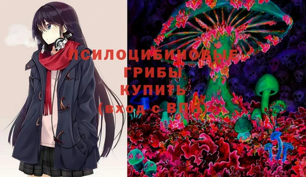 шишки Иннополис