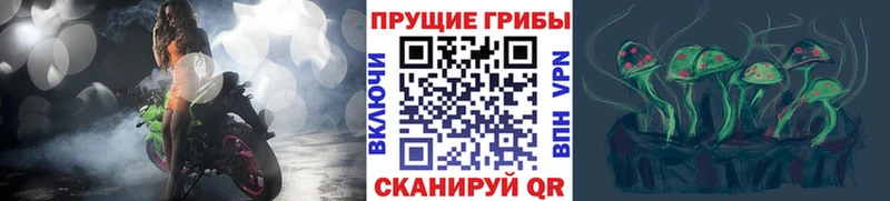 Псилоцибиновые грибы мицелий  Купить  Глазов 